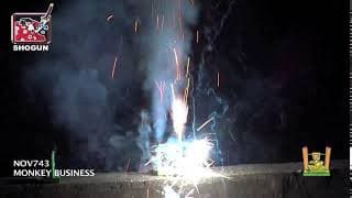 Monkey Business - Fireworks Novelty
