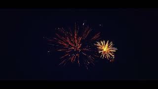 GM590S Supplier Video 2025 - 30s Fan Nishiki Kamuro w/Falling Leaves (30 Sec)