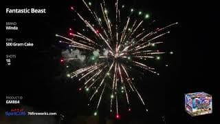 GM864 Fantastic Beast - 16 shot 500 Gram - Winda Fireworks
