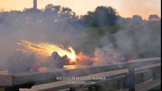 NV305 Penguin Mama Fireworks