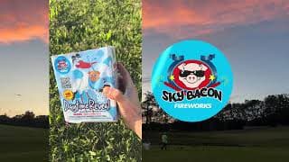 MS469B Daytime Reveal (Blue) Smoke Tail Gender Reveal 200g Multi-Shot - Sky Bacon Fireworks