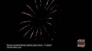 TB248 Monstrous Brocade Ring - 9 Shot
