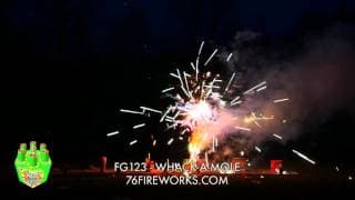 FG123 Whack-A-Mole Fireworks
