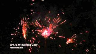 #14 Morning Glory Sparklers - Sky Bacon